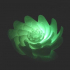 Lotus-like flower image