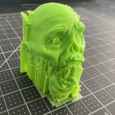 Picture of print of Zombie head