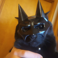 Picture of print of Bat-Cat mask