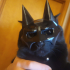 Bat-Cat mask print image