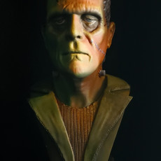 Picture of print of Frankenstein's Monster (Pre-Supported)