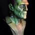 Frankenstein's Monster (Pre-Supported) print image