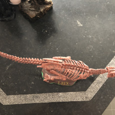 Picture of print of T-Rex Skeleton - Leo Burton Mount This print has been uploaded by Nicolas Belin