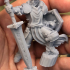 Warriors of the Cloth - Collection of Holy warriors - (32mm scale miniatures) print image