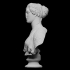 Bust of a woman, "The Oxford Bust" image