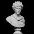 Portrait of Marcus Aurelius as a young man image