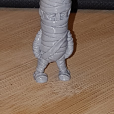 Picture of print of Mini Mummy - single and multimaterial version This print has been uploaded by Philippe Courtois