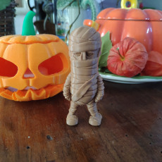 Picture of print of Mini Mummy - single and multimaterial version This print has been uploaded by alfazulu77