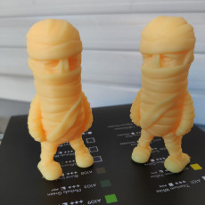 Picture of print of Mini Mummy - single and multimaterial version This print has been uploaded by Luca Comodi