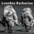 Loxodon Barbarian - Dnd Character- 2 Poses image