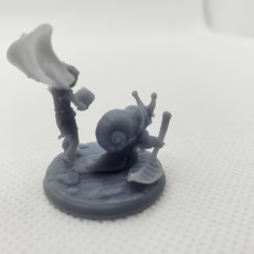 Picture of print of Snail Companion - DnD Character - 2 Poses This print has been uploaded by Taylor Tarzwell