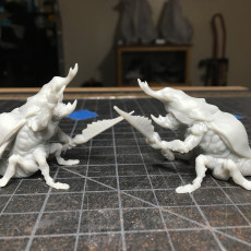 Picture of print of Beetle Guards - DnD Monsters - 2 Poses