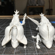 Picture of print of Beetle Guards - DnD Monsters - 2 Poses