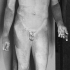 The Capitoline Antinous image