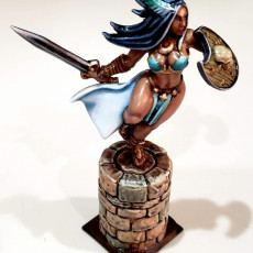 Picture of print of Amazon Warrior from AMAZONS! Kickstarter This print has been uploaded by David