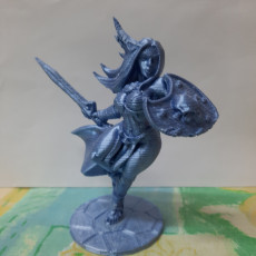 Picture of print of Amazon Warrior from AMAZONS! Kickstarter This print has been uploaded by wipchu