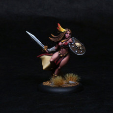 Picture of print of Amazon Warrior from AMAZONS! Kickstarter This print has been uploaded by Doctor Faust