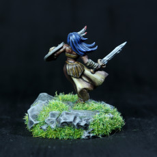 Picture of print of Amazon Warrior from AMAZONS! Kickstarter This print has been uploaded by ZyMethEuY