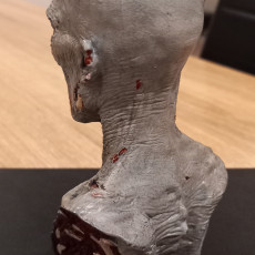 Picture of print of ZOMBUST! - Zombie bust (Pre-supported)