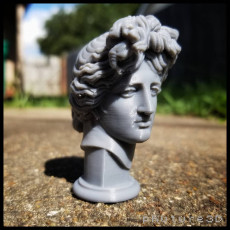 Picture of print of Apollo Giustiniani This print has been uploaded by phuture3d