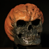 Evil Pumpkin Skulls print image