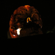 Picture of print of Free Evil Pumpkin Skull Sample This print has been uploaded by Loic Riou