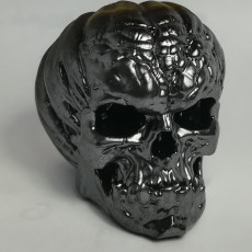 Picture of print of Free Evil Pumpkin Skull Sample This print has been uploaded by Luke Lozowski