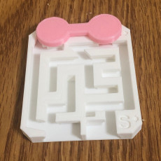 Picture of print of ALMOST IMPOSSIBLE SLIDING MAZE PUZZLE
