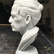 Picture of print of Samurai Bust