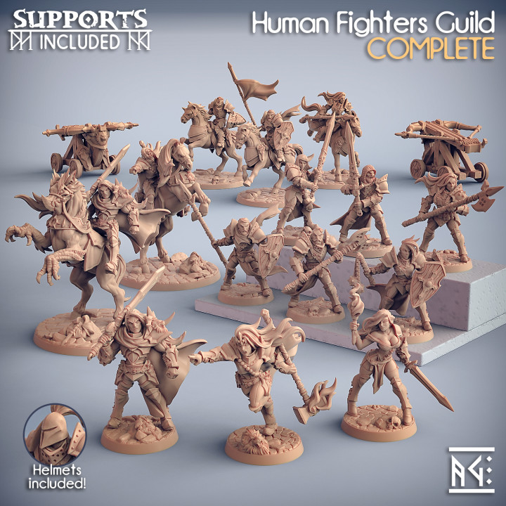 Paladin B Mercenary Warrior Human Fighters Guild Artisan Miniatures D&D 3D248 