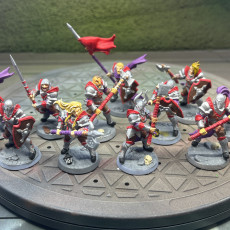 Picture of print of Human Fighters Guild - 6 Modular