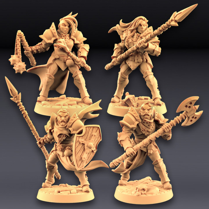 Human Fighters Guild - 4 Modular + 2 Heroes image