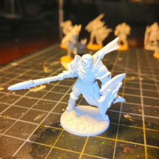 Picture of print of Human Fighters Guild - A (Male) Modular