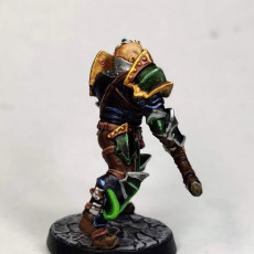 Picture of print of Human Fighters Guild - B (Male) Modular