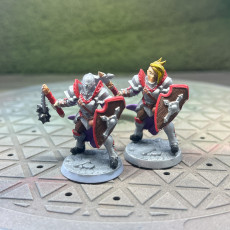 Picture of print of Human Fighters Guild - C (Lady) Modular