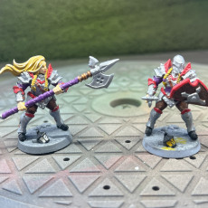 Picture of print of Human Fighters Guild - D (Lady) Modular
