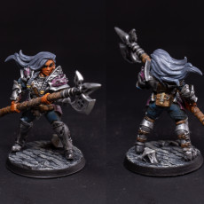 Picture of print of Human Fighters Guild - D (Lady) Modular