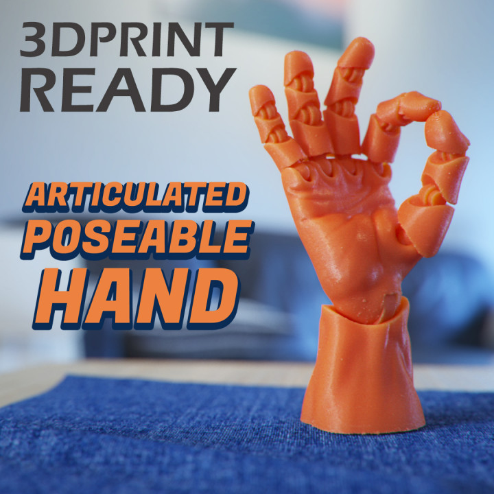$5.00Articulated Poseable Hand