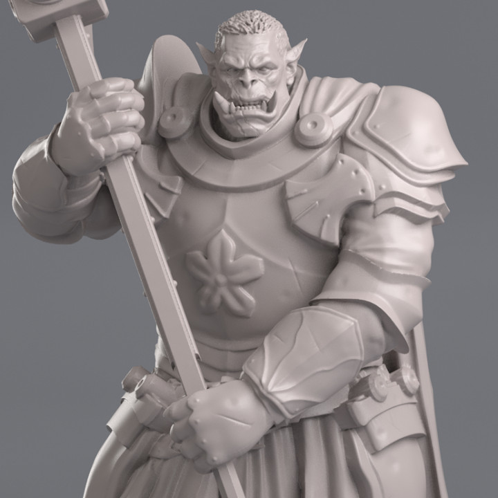 Image of Orc Fighter