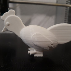Picture of print of Chicken picking toy
