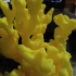 Plastic Reef #5: Corals image