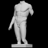 Torso of a nude young man, Spear-bearer or Doryphoros, The Pourtales Torso image