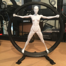 Picture of print of Vitruvian Host (Westworld)