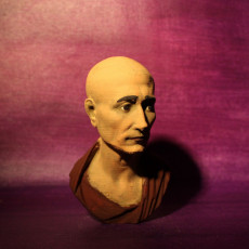 Picture of print of Portrait of Julius Caesar (?), The Green Caesar