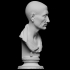 Portrait of Julius Caesar (?), The Green Caesar image