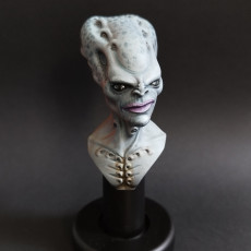Picture of print of Bust Martian Community