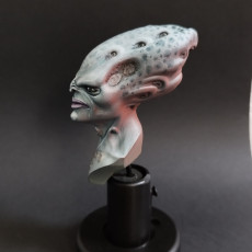 Picture of print of Bust Martian Community