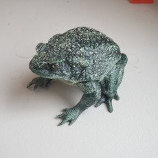 Picture of print of Realistic Toad