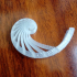 Nautilus shell image