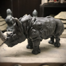Picture of print of Rhino This print has been uploaded by A Mymini MacDonald